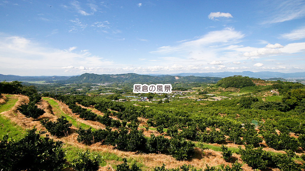 原倉の風景