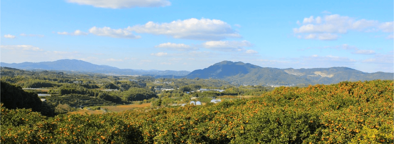 ミカン園から木葉山