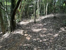 木葉山6