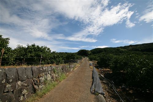 原倉の風景