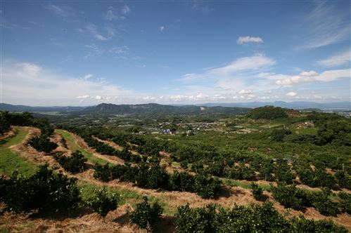 原倉の風景②