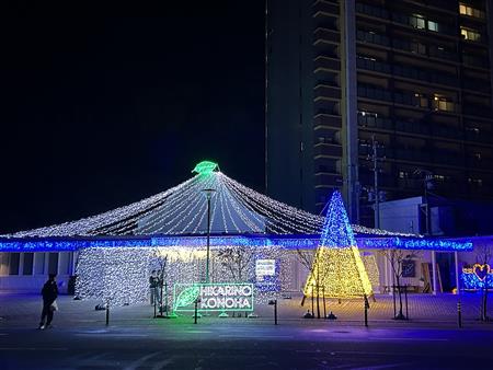 ヒカリノコノハ