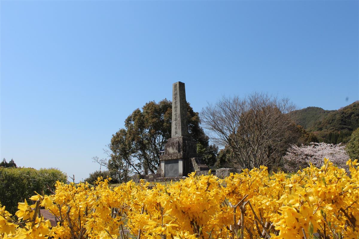 丸田公園