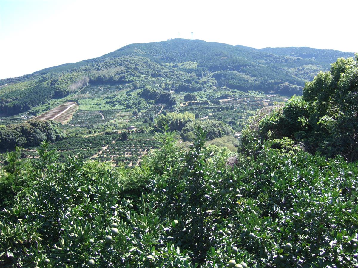 三の岳登山道