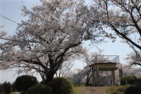 半高山公園