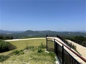 半高山1