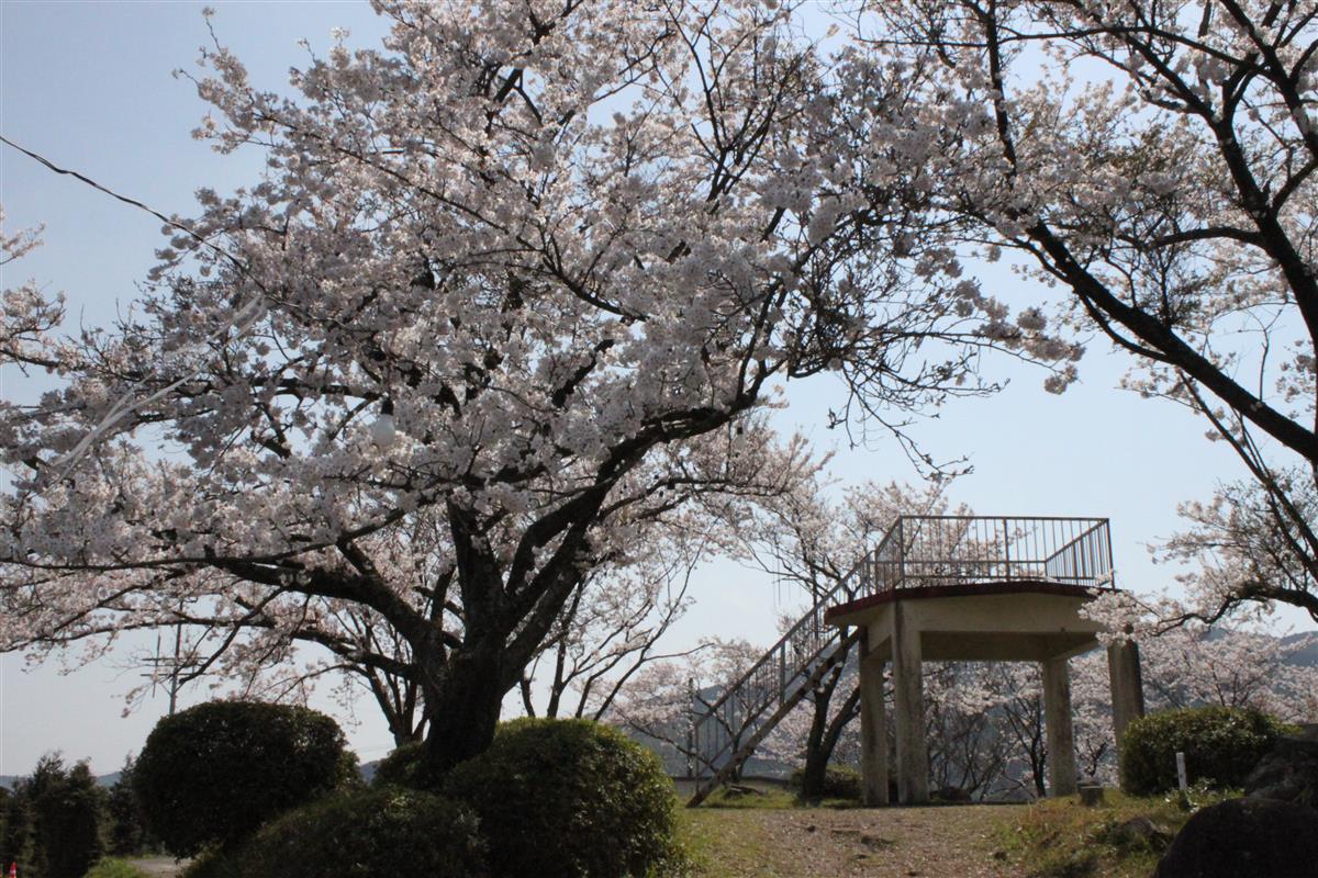 半高山公園山頂