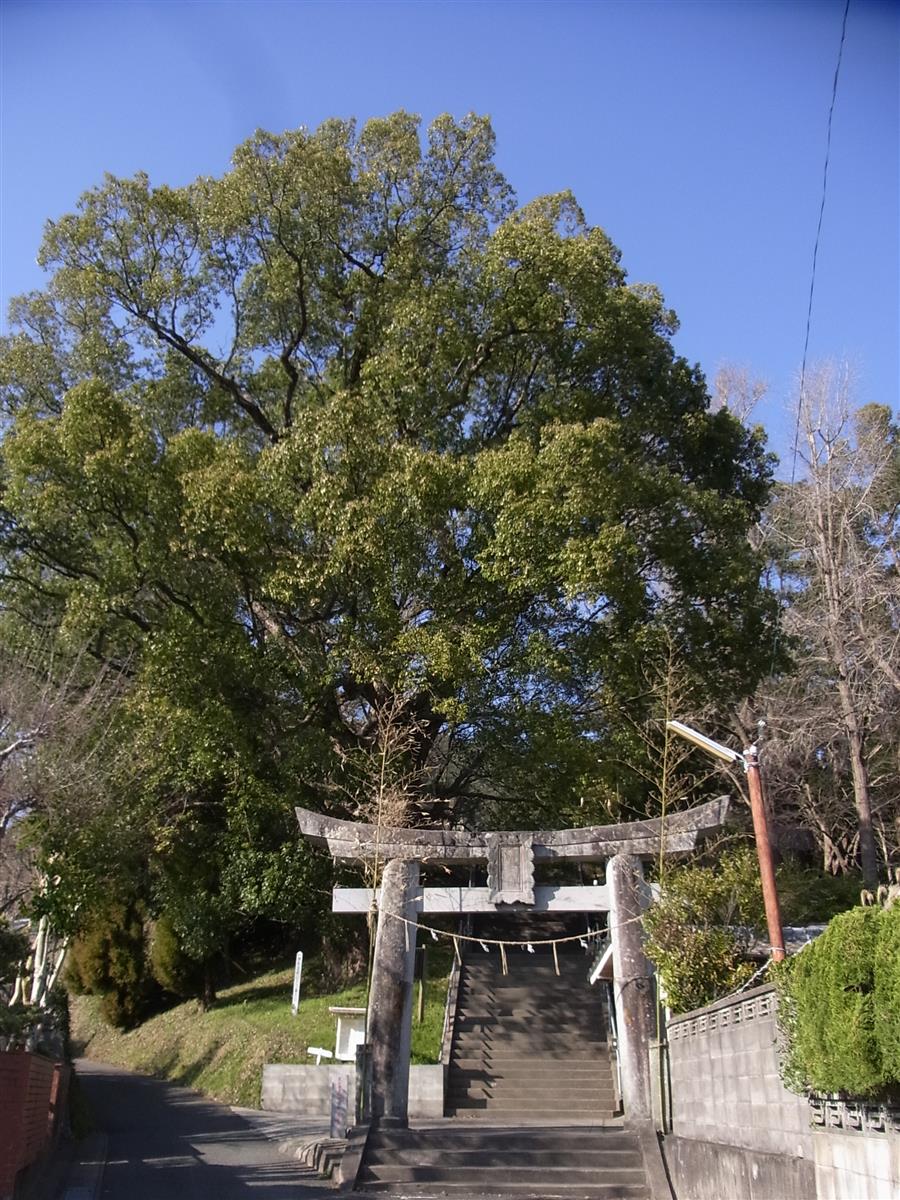 木葉宇都宮神社