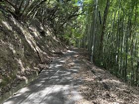 木葉山2