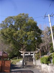 木葉宇都宮神社