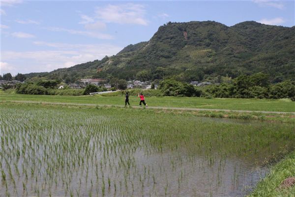 木葉山