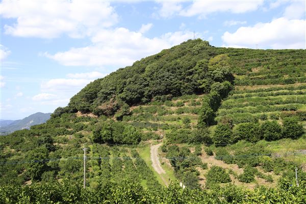 半高山・吉次峠古戦場