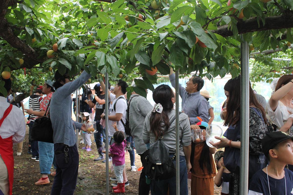 ハニーローザ収穫祭